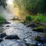 Nature and Mental Clarity: The Science of ’Green Time’